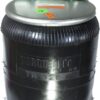 TR9287 Trailer Air Spring